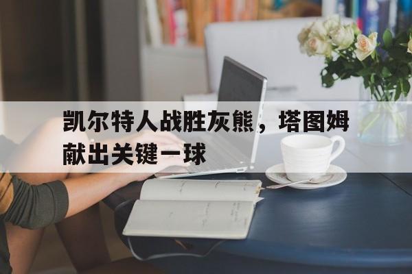 包含凯尔特人战胜灰熊，塔图姆献出关键一球的词条
